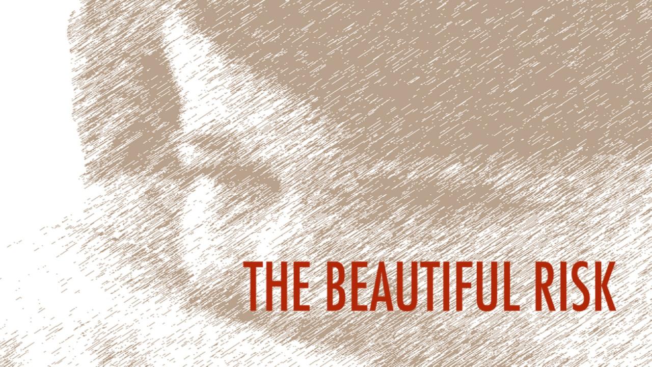 The Beautiful Risk (2013)