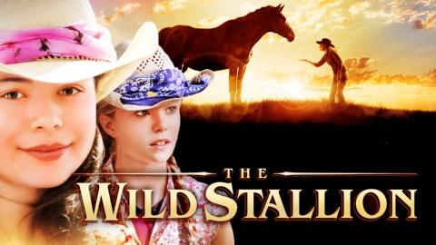 The Wild Stallion (2009)